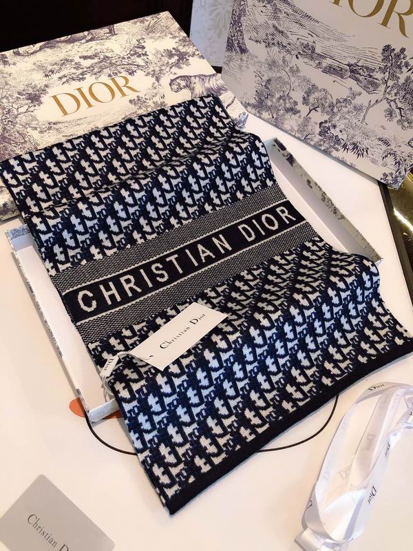 Dior scarf E (13)