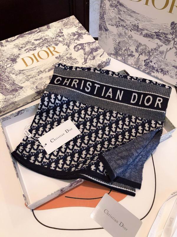 Dior scarf E (14)