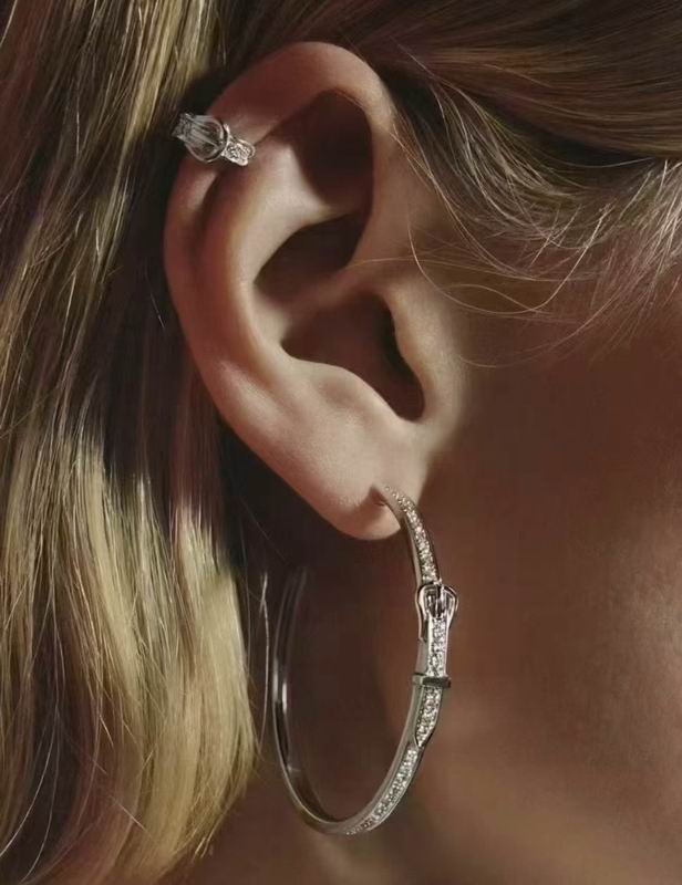 Hermes Earring 06yxh02 (5)