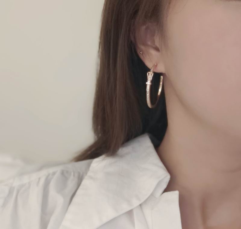 Hermes Earring 06yxh02 (6)