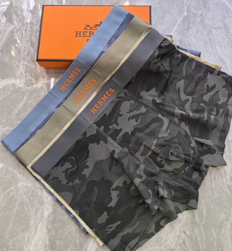 Hermes boxer L-4XL 04 (3)