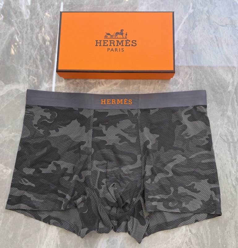 Hermes boxer L-4XL 04 (6)