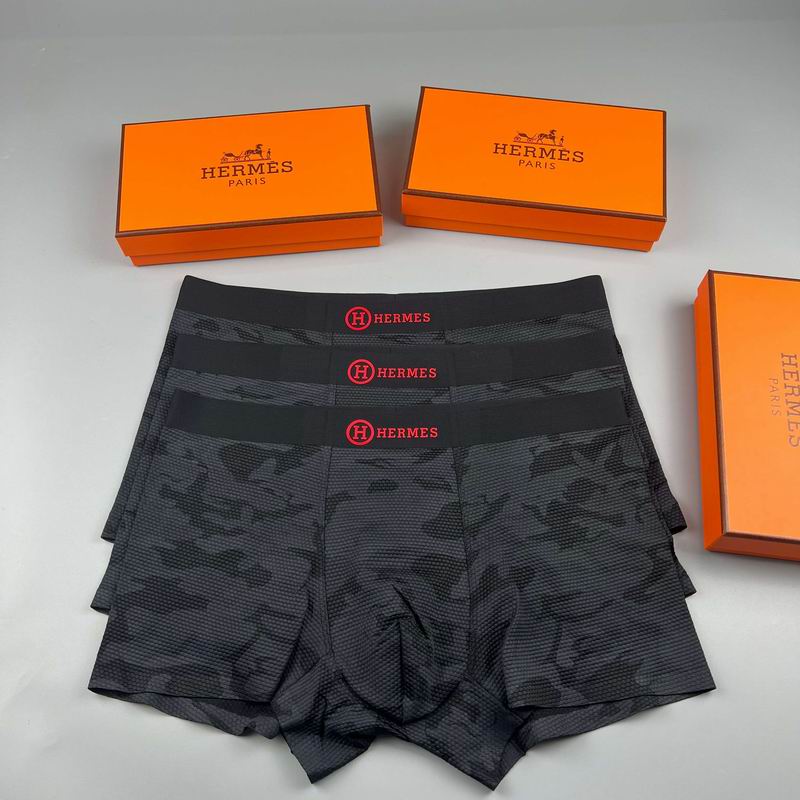 Hermes boxer L-4XL 29 (4)