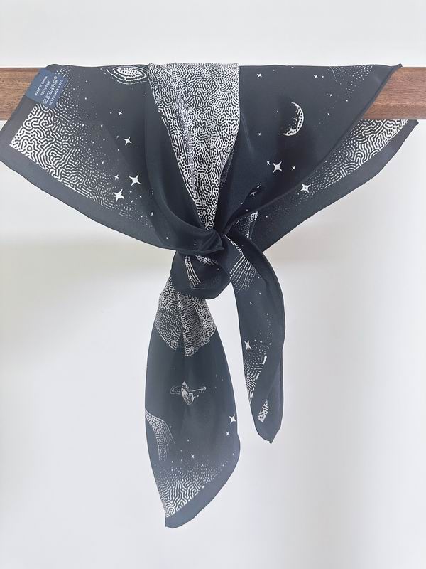 Hermes silk Scarf 70X70cm E10 (2)