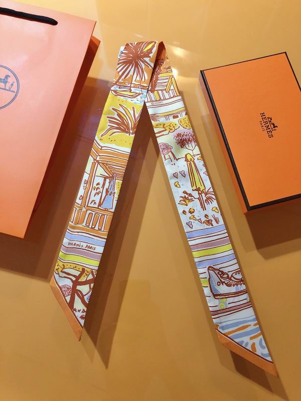 Hermes silk ribbon 5X86cm E01 (14)