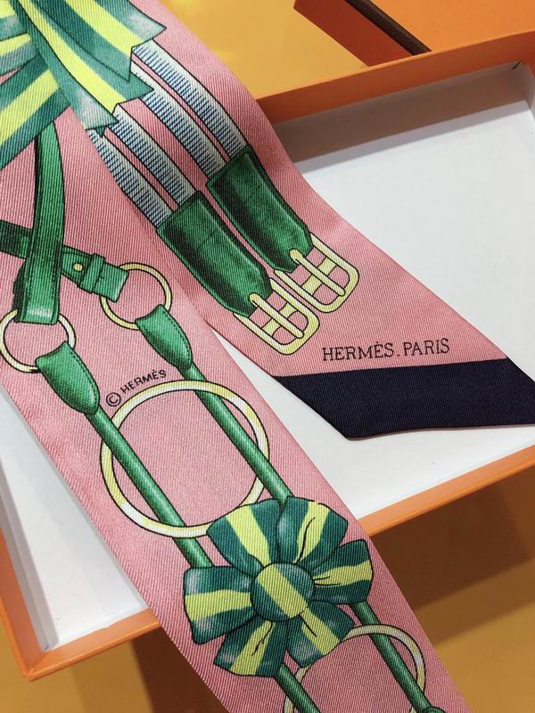 Hermes silk ribbon 5X86cm E01 (20)