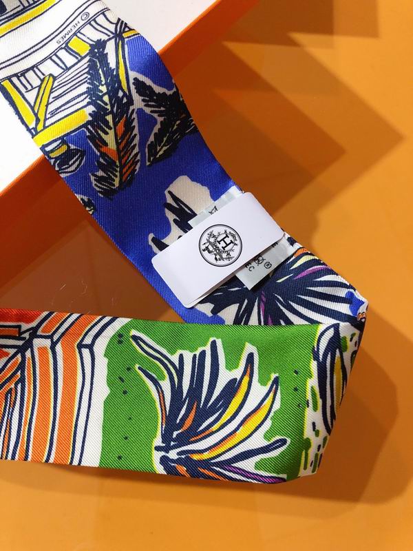 Hermes silk ribbon 5X86cm E01 (22)