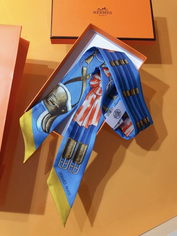 Hermes silk ribbon 5X86cm E01 (31)