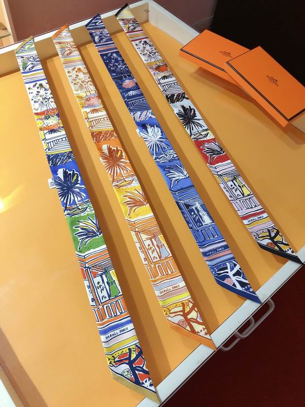 Hermes silk ribbon 5X86cm E01 (36)