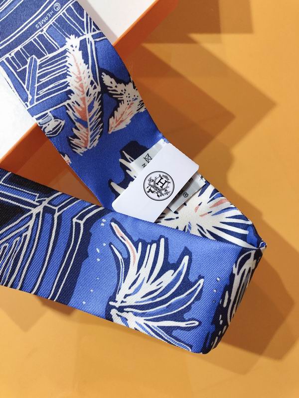 Hermes silk ribbon 5X86cm E01 (4)