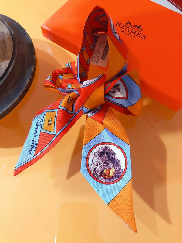 Hermes silk ribbon 5X86cm E02 (13)