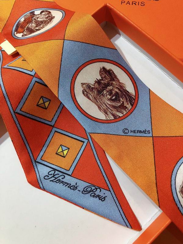 Hermes silk ribbon 5X86cm E02 (14)