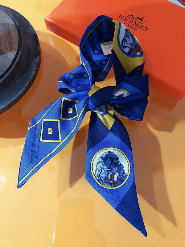 Hermes silk ribbon 5X86cm E02 (3)