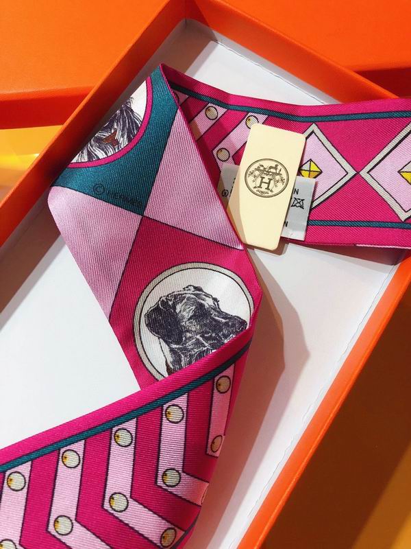 Hermes silk ribbon 5X86cm E02 (33)