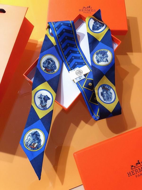 Hermes silk ribbon 5X86cm E02 (7)