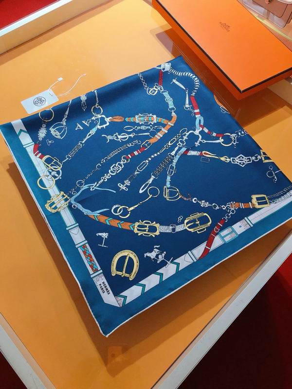 Hermes silk scarf 90X90cm E (1)