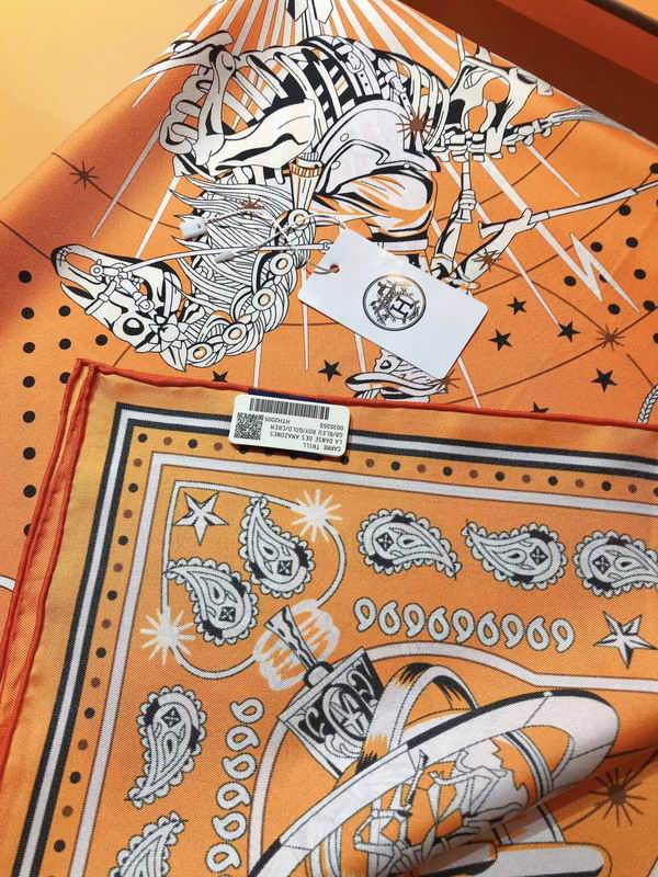 Hermes silk scarf 90X90cm E (18)