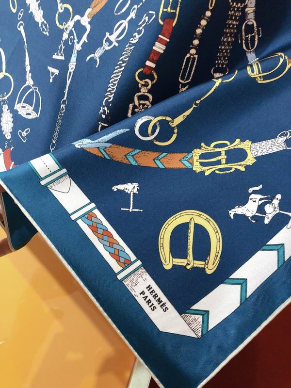 Hermes silk scarf 90X90cm E (2)