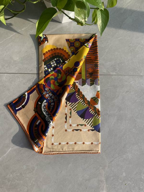 Hermes silk scarf 90X90cm E (3)