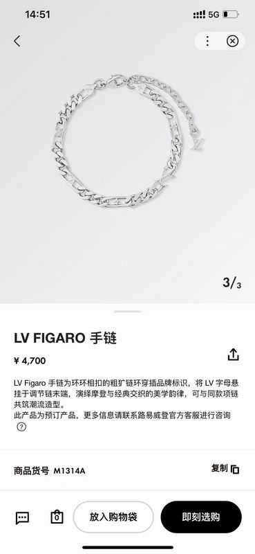 LV Bracelet 04yxh58 (1)