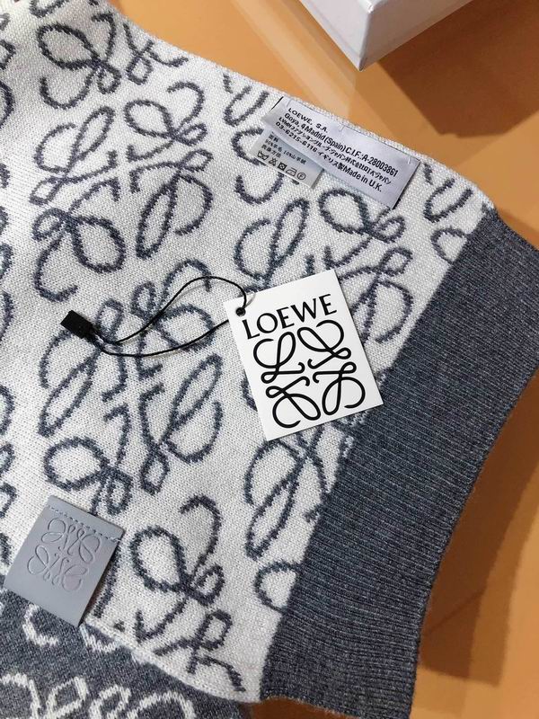 Loewe 20X163cm 100%羊毛 E (9)