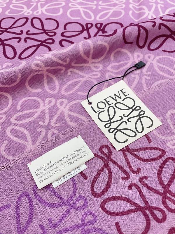 Loewe 42X190cm 73%羊毛 20%真丝 7%山羊绒 E (22)