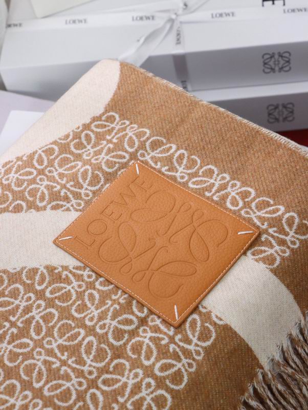 Loewe scarf 130X140cm E (11)