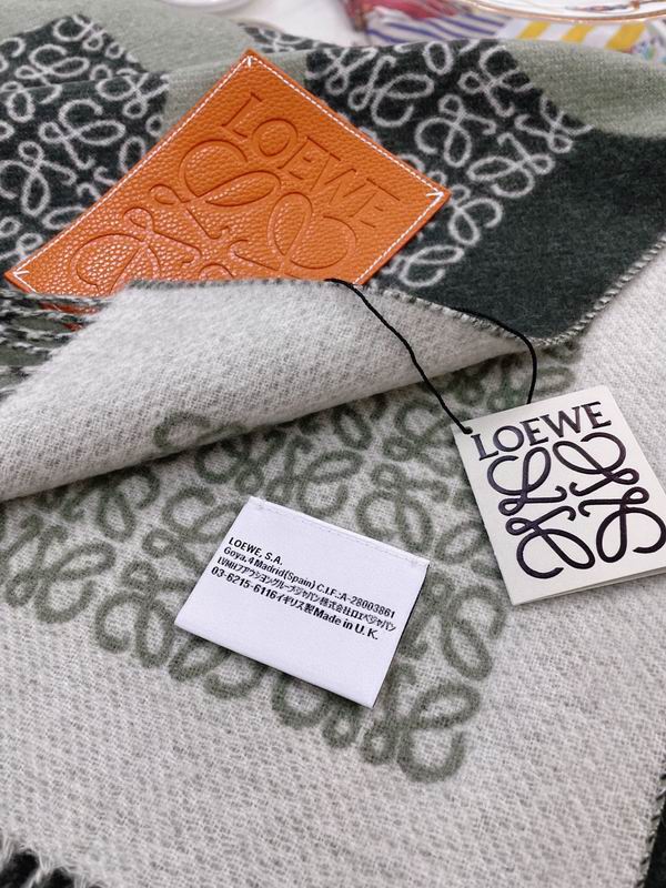 Loewe scarf 130X140cm E (18)