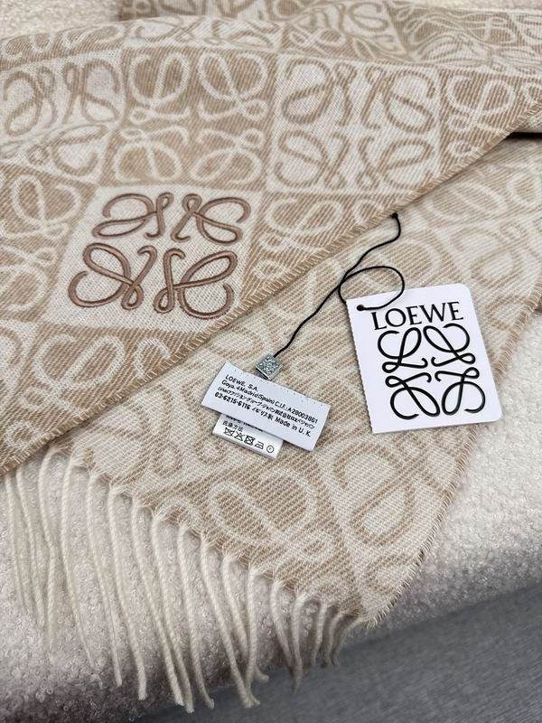 Loewe scarf 180X60cm E (21)