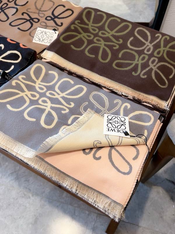 Loewe scarf 65X180cm E (13)