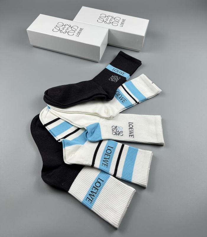 Loewe socks (1)