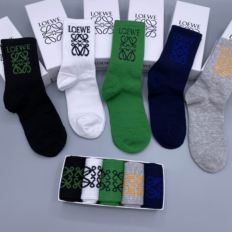 Loewe socks  (9)