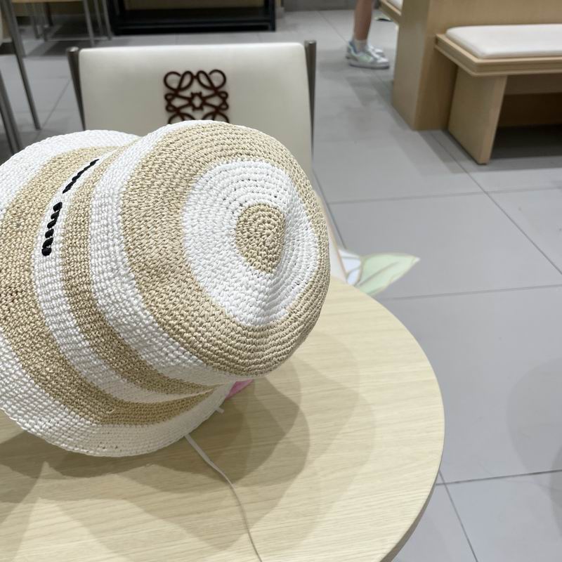 Miumiu hat (35)