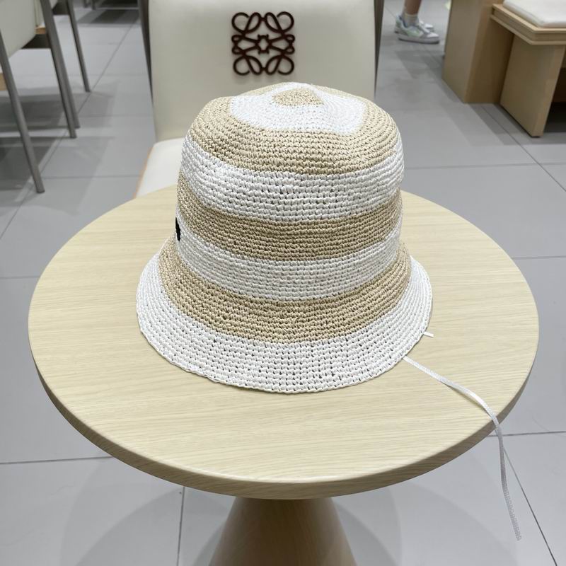 Miumiu hat (36)