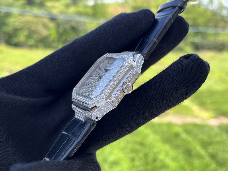 Patek Philippe watch 03 (2)