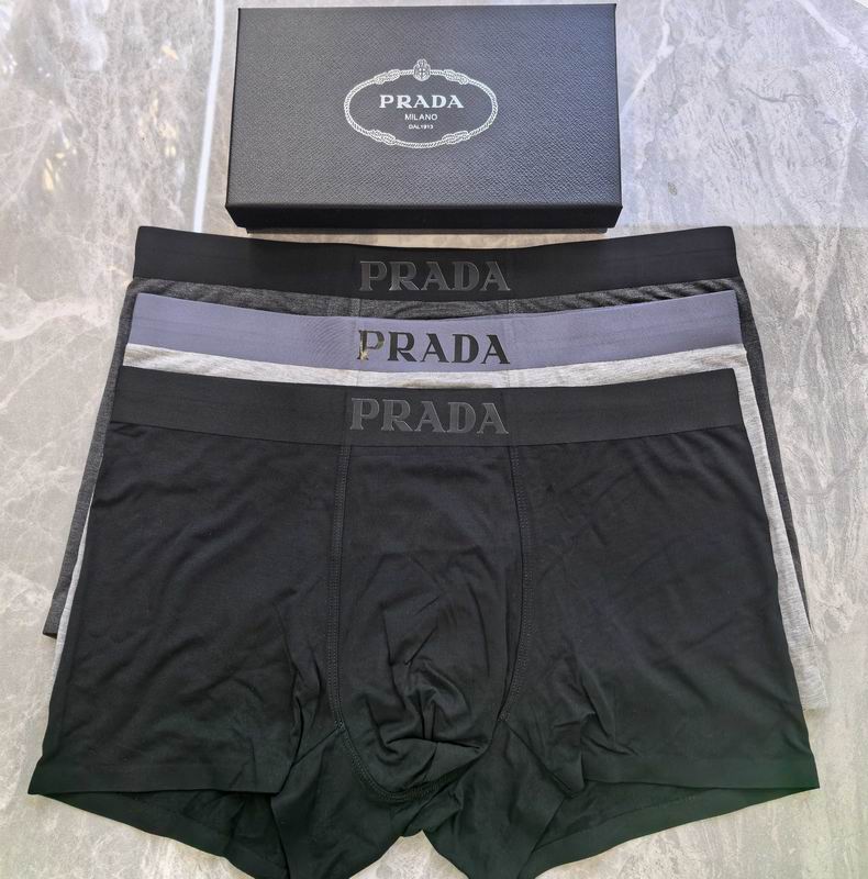 Prada boxer 06 (2)
