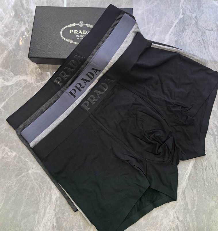 Prada boxer 06 (3)