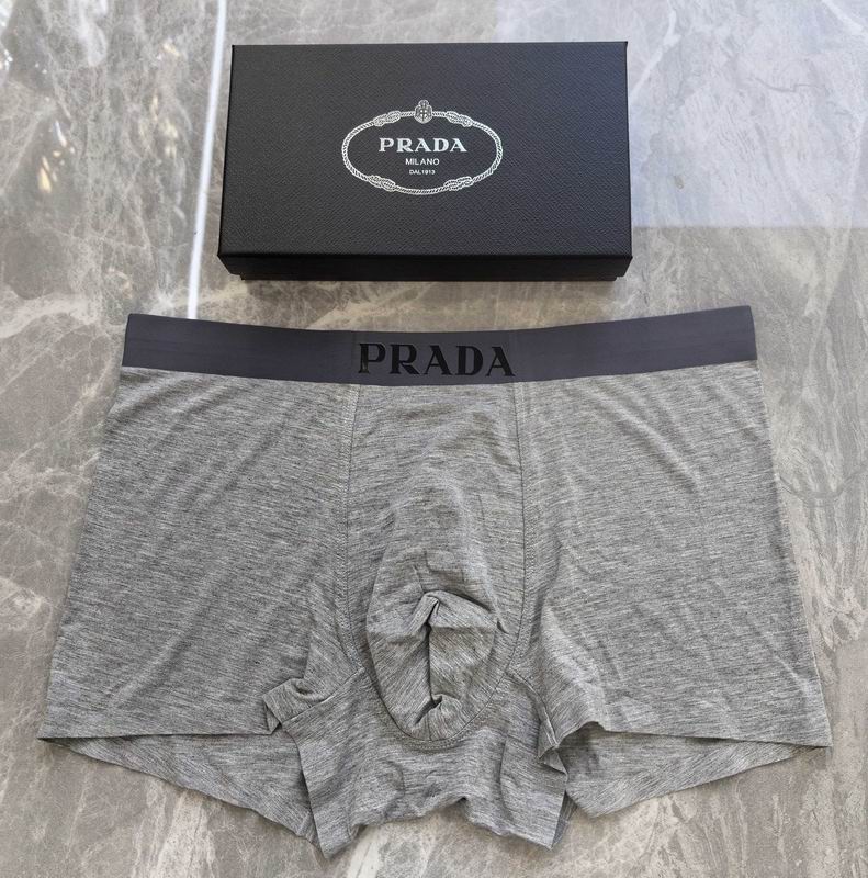 Prada boxer 06 (6)