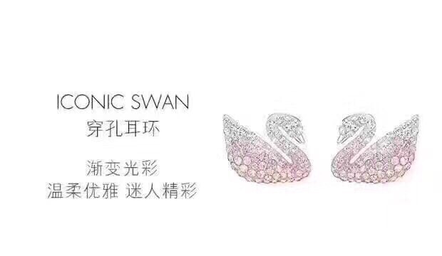 Swarovski Earring 06yxh01 (1)