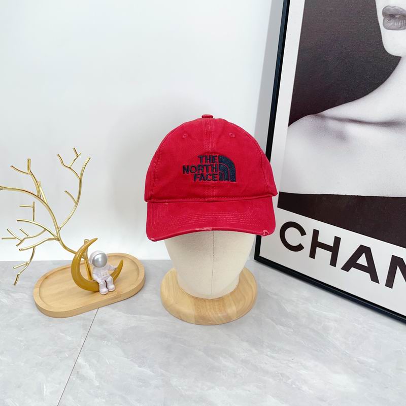 The North Face cap dx (307)