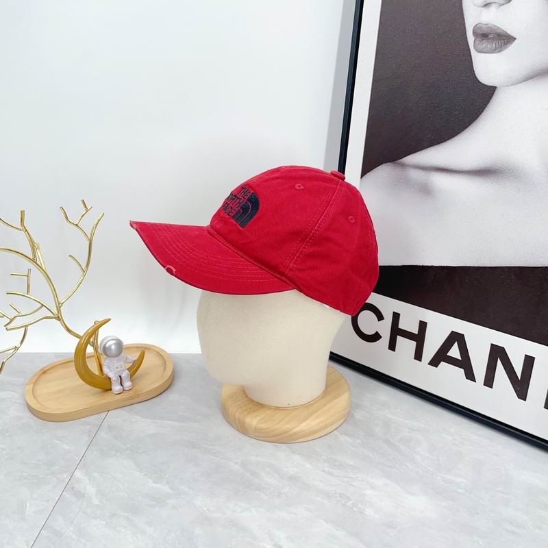 The North Face cap dx (308)