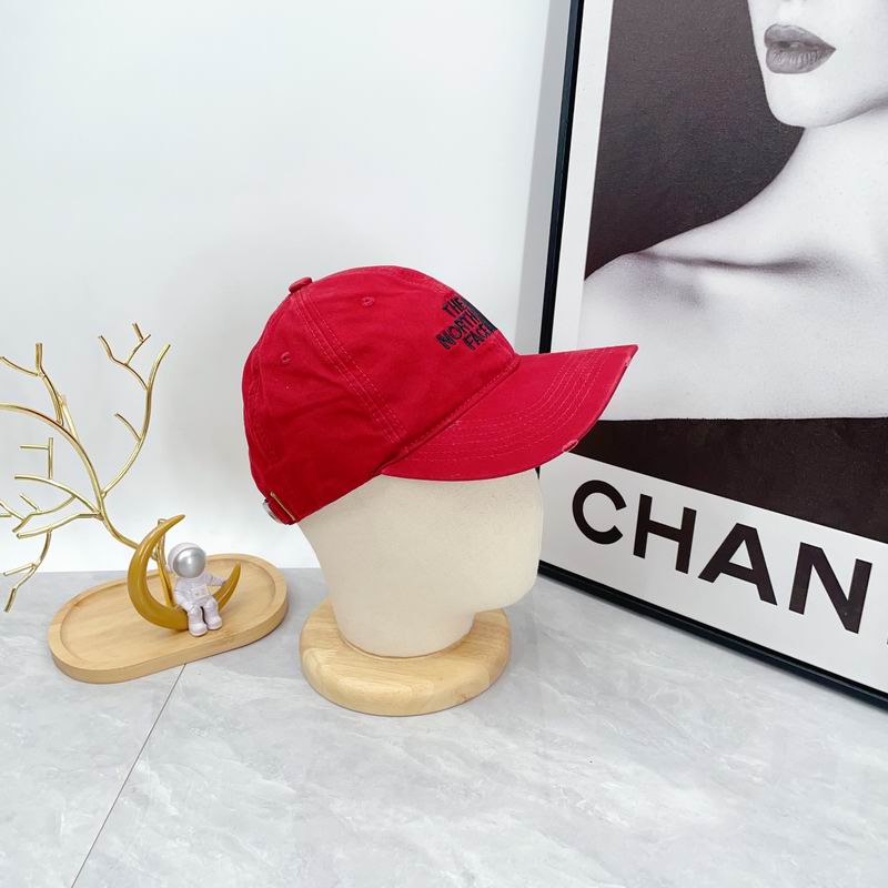 The North Face cap dx (309)