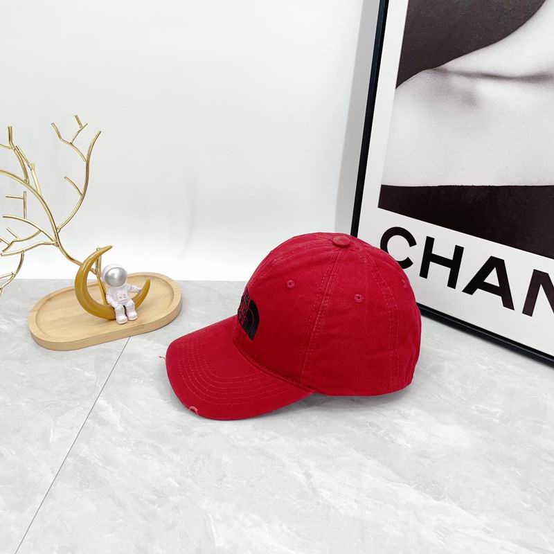 The North Face cap dx (310)