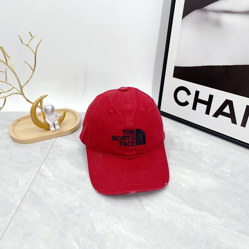 The North Face cap dx (311)