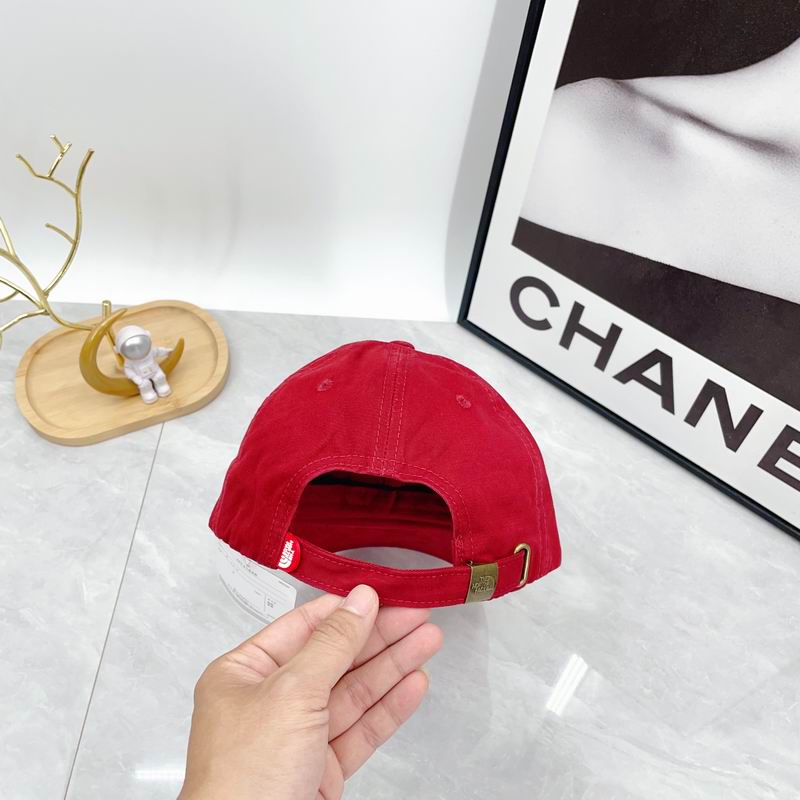 The North Face cap dx (313)