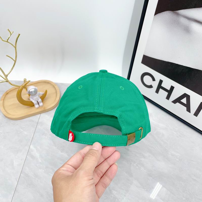 The North Face cap dx (323)