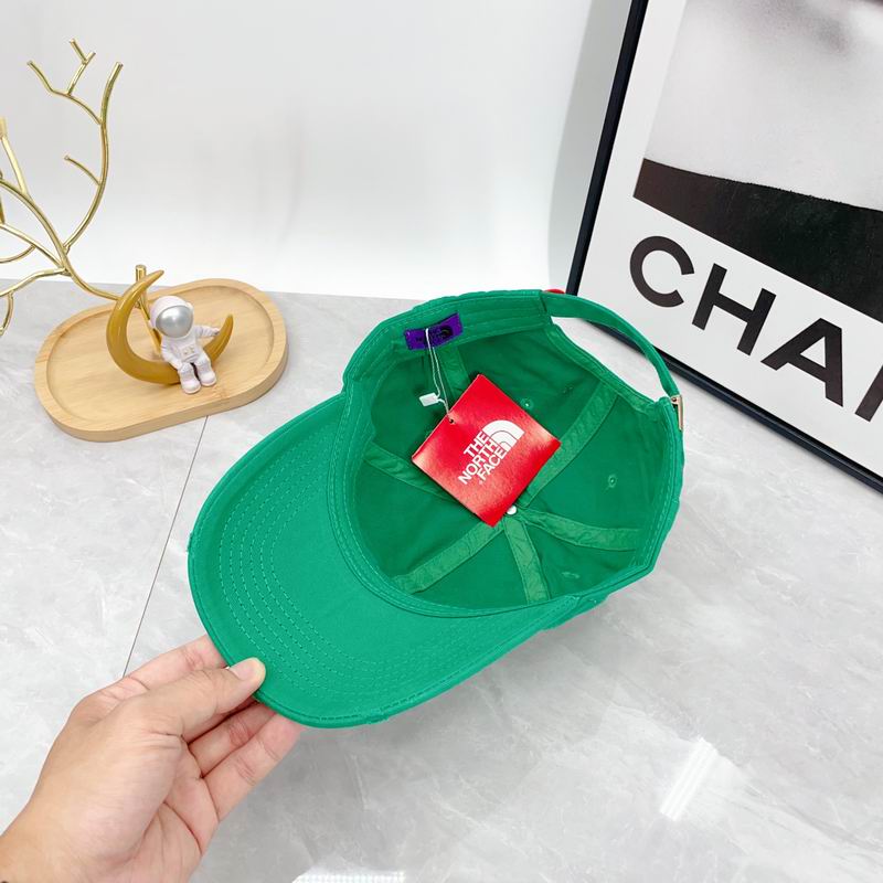 The North Face cap dx (324)
