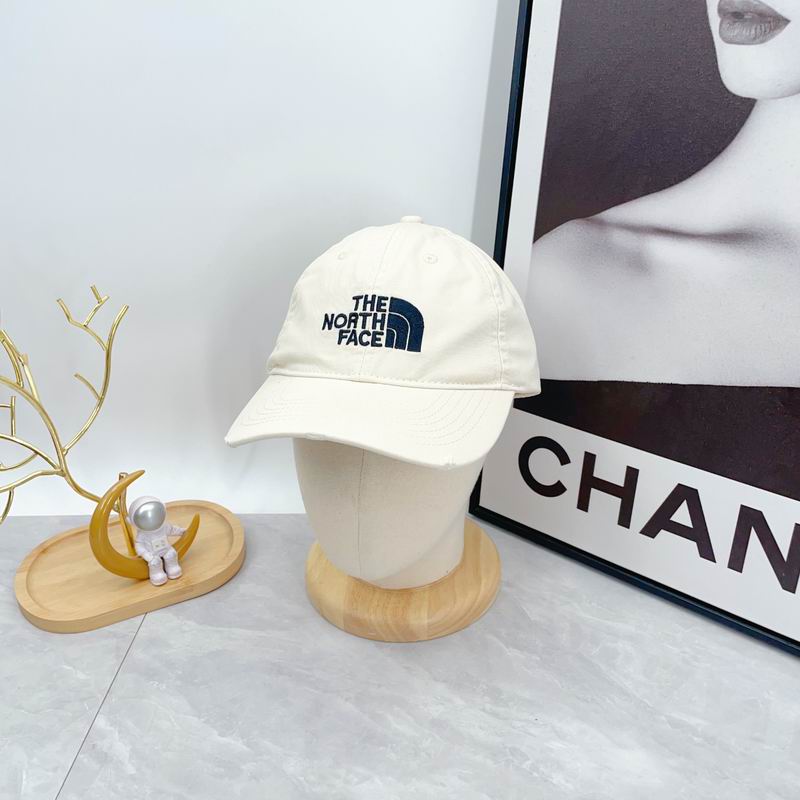 The North Face cap dx (328)