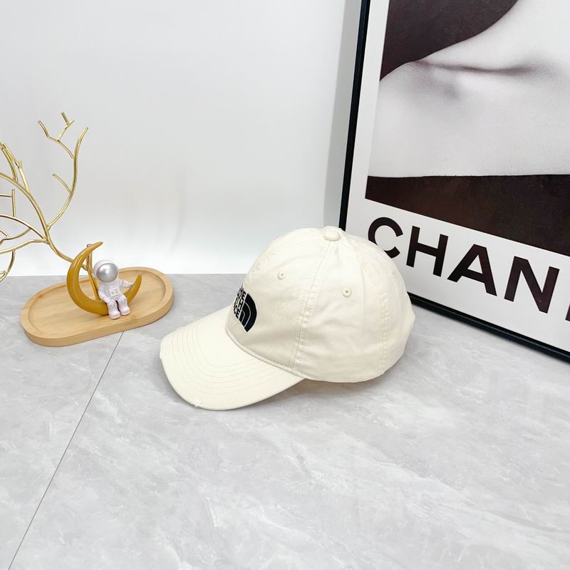 The North Face cap dx (331)