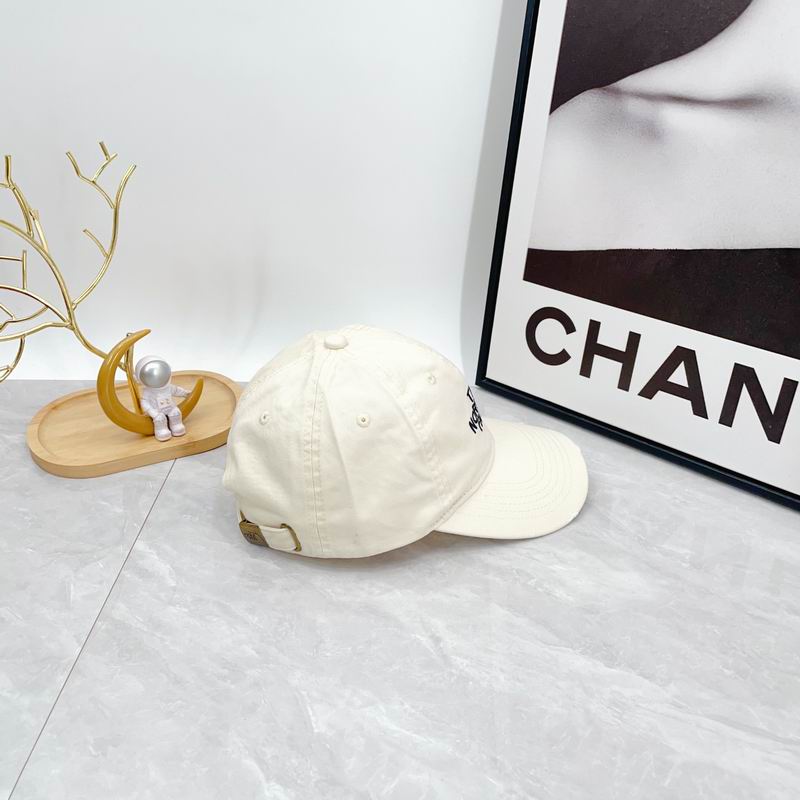 The North Face cap dx (333)